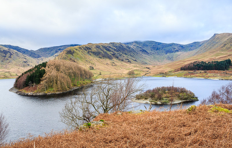 The Rigg